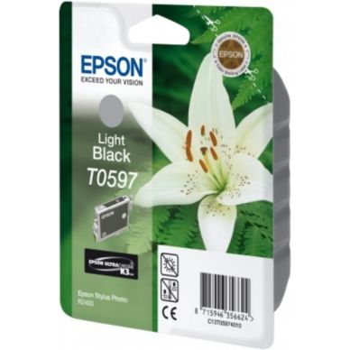 Epson Mustepatruuna harmaa
