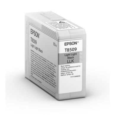Epson Mustepatruuna vaalea musta, 80 ml