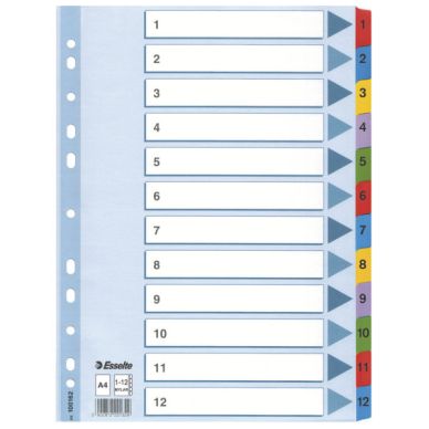 ESSELTE Kartonkirekisteri Esselte Mylar A4, 1-12