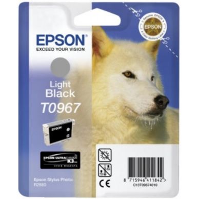 Epson Mustepatruuna vaalea musta