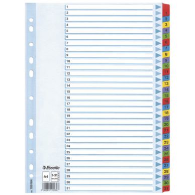 ESSELTE Kartonkirekisteri Esselte Mylar A4, 1-31
